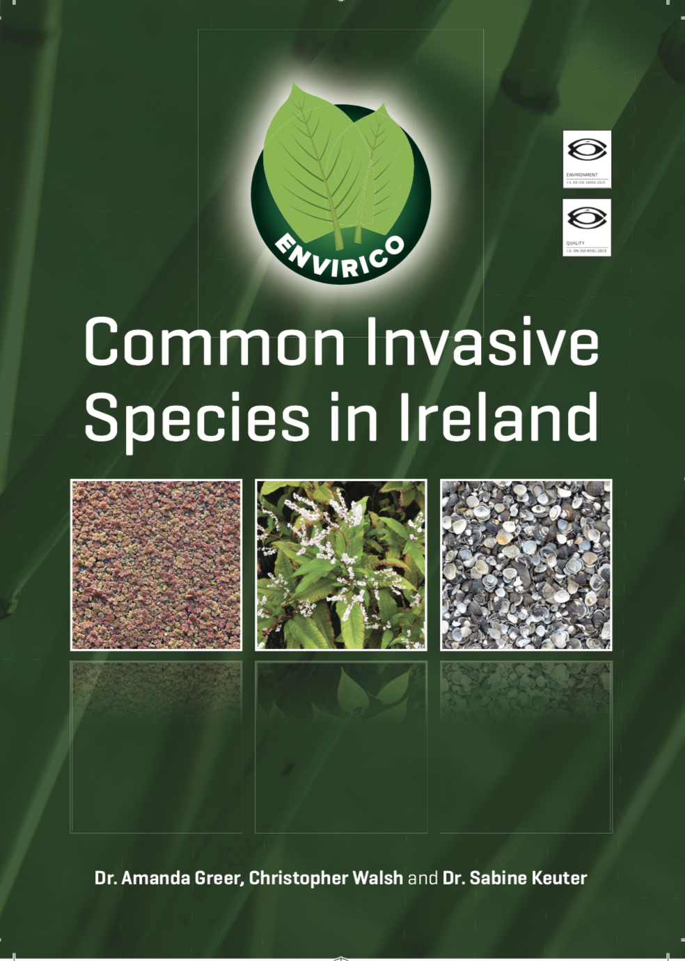 Invasive Species Plants Ireland